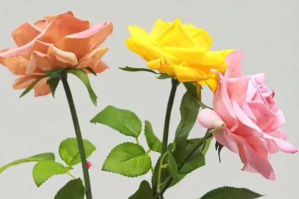 How to clean simulated rose flowers